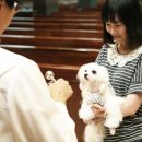 믿음,사랑,소망 이미지