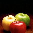 건강하소 이미지