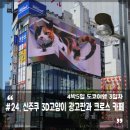 신주쿠 고양이 3D 위치, 신주쿠히가시구치노네코 냥이 카페 후기