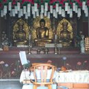 충주 중앙탑면 장천1길 충북 Daum카페