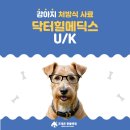 동물병원 닥터K | [성내동포레온동물병원]닥터힐메딕스 U/K 처방사료