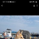 화북스파광천탕 이미지