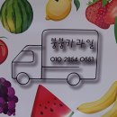 붕붕카과일