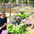 제2구민운동장 화장실 이미지