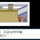 그린체육관 이미지