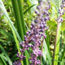 정모시공원 이미지