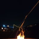 미키애견 이미지