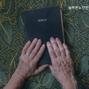 늘푸른 노인전문요양원