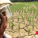 부석소방서 이미지