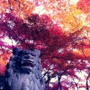 승지사