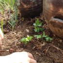 경산서상동우체국 이미지