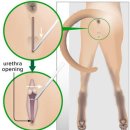 길음동물병원 이미지