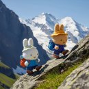 아리랑이발관 | [해외여행/베트남] 3박5일 푸꾸옥 여행 2일차 (그랜드월드)