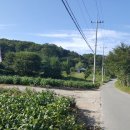 웅촌파출소 ~ 미용예술고교 이미지