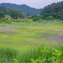 냉천할매집식당 이미지