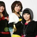 브아걸 vs 써니힐 vs 씨스타 이미지