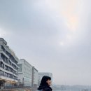 경기둘레길 김포57코스 | 202602014 경기둘레길56~57코스(아라천등대공원~아라김포여객터미널~김포대수로~풍무도서관~풍무사거리...