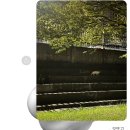 고양이와 강낭콩 그리고 오운완