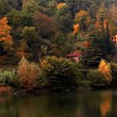 바람소리 이미지