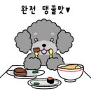 댕냥잇츠 이미지