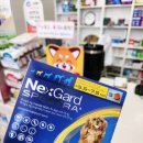 아빠곰약국 이미지