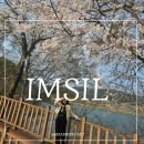 전주옥정호 | 전주 근교 봄꽃 명소 임실 옥정호 벚꽃 붕어섬 4월 가볼만한곳