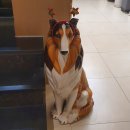 넘버25모텔 이미지