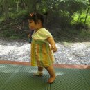 오도산 자연휴양림 이미지