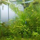 트리밍91 이미지