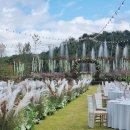 디바인밸리 이미지