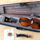 바네스(VANESSE) 이미지