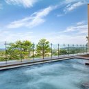 소노캄 델피노C 이미지