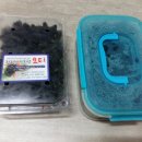 자라진천 이미지