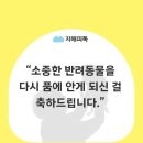 사하구-01 이미지