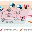 네트워크 이미지
