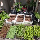 구로농장 이미지