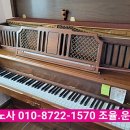 예진음악학원 이미지