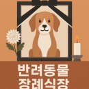 포포즈 반려동물장례식장 부산점 이미지