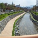 장군한방족발 이미지