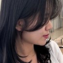 오미용실 네이버블로그