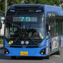 간선-75 이미지