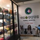 마린숲 동물병원 이미지