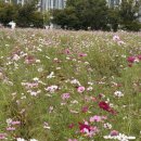 단원구청 삼거리 4 이미지