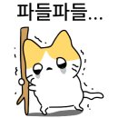 수녕김밥 이미지