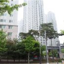 동탄공원로 이미지