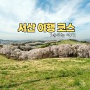풍성목장 | [공지] 서산 한우목장 벚꽃 후기/드라이브 코스 추천