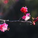 우공원