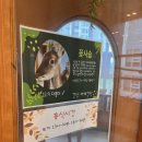 인천 아이와 가 볼 만한 곳 실내동물카페 쥬니멀 22개월 내돈내산 방문후기