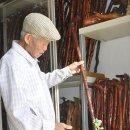 은행나무로 이미지