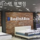 매트리스 엠 이미지